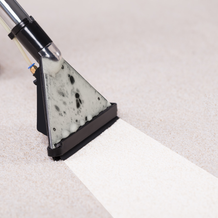 carpet cleaning