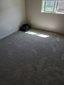 using a fan to dry after carpet cleaning in rental properties in Cedar City