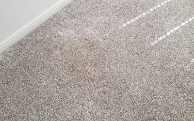Carpet Cleaning For Rental Properties in Cedar City